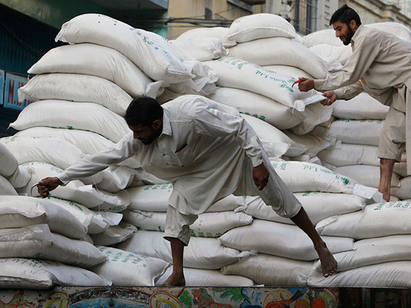 CCP inquiry blames sugar mills body for cartelisation