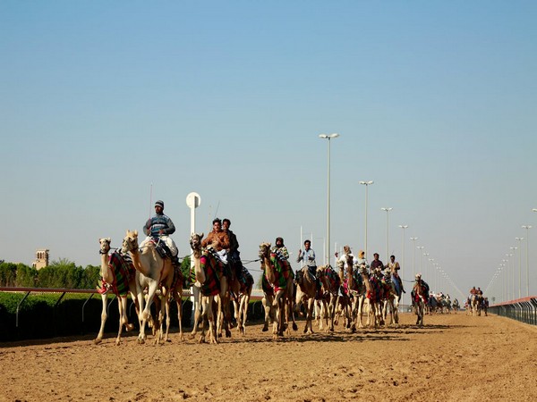 Mohammed bin Rashid attends final day of Al Marmoom Heritage Festival for Camel Racing