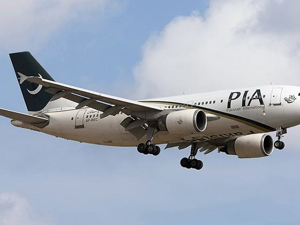 Senate to debate layoffs in PIA today