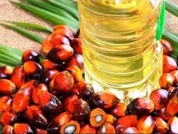 Fitch Solutions trims palm oil short-term price forecasts