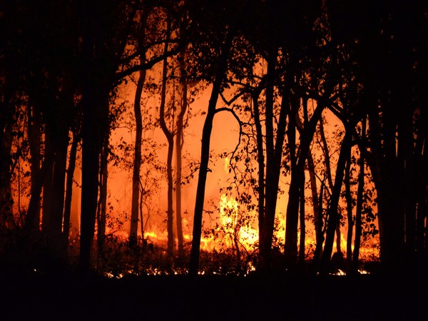 Oregon wildfire scorches over 1,500 square kilometres