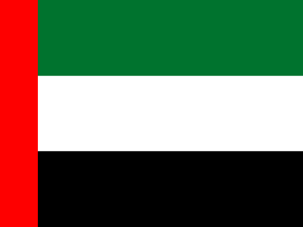 UAE Government rated 'AA' with a 'stable outlook': Fitch Ratings