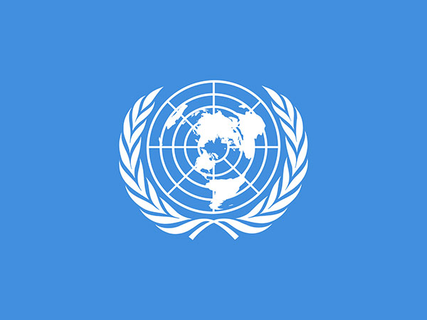 UN Calls on Egypt to Release Arrested Anadolu Agency Reporters - Spokesman