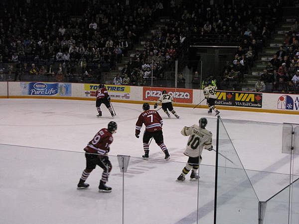 OHL must remove bodychecking, physical contact to play this season, province says