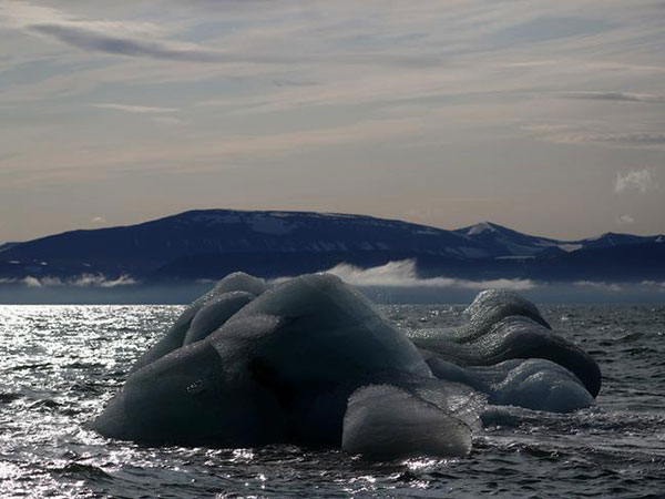 Ban on heavy fuel oil full of holes, environmental groups say