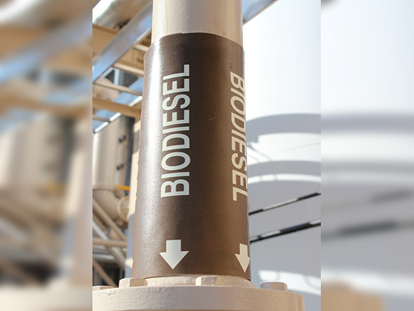 Indonesian ministry confirms biodiesel B30 safe