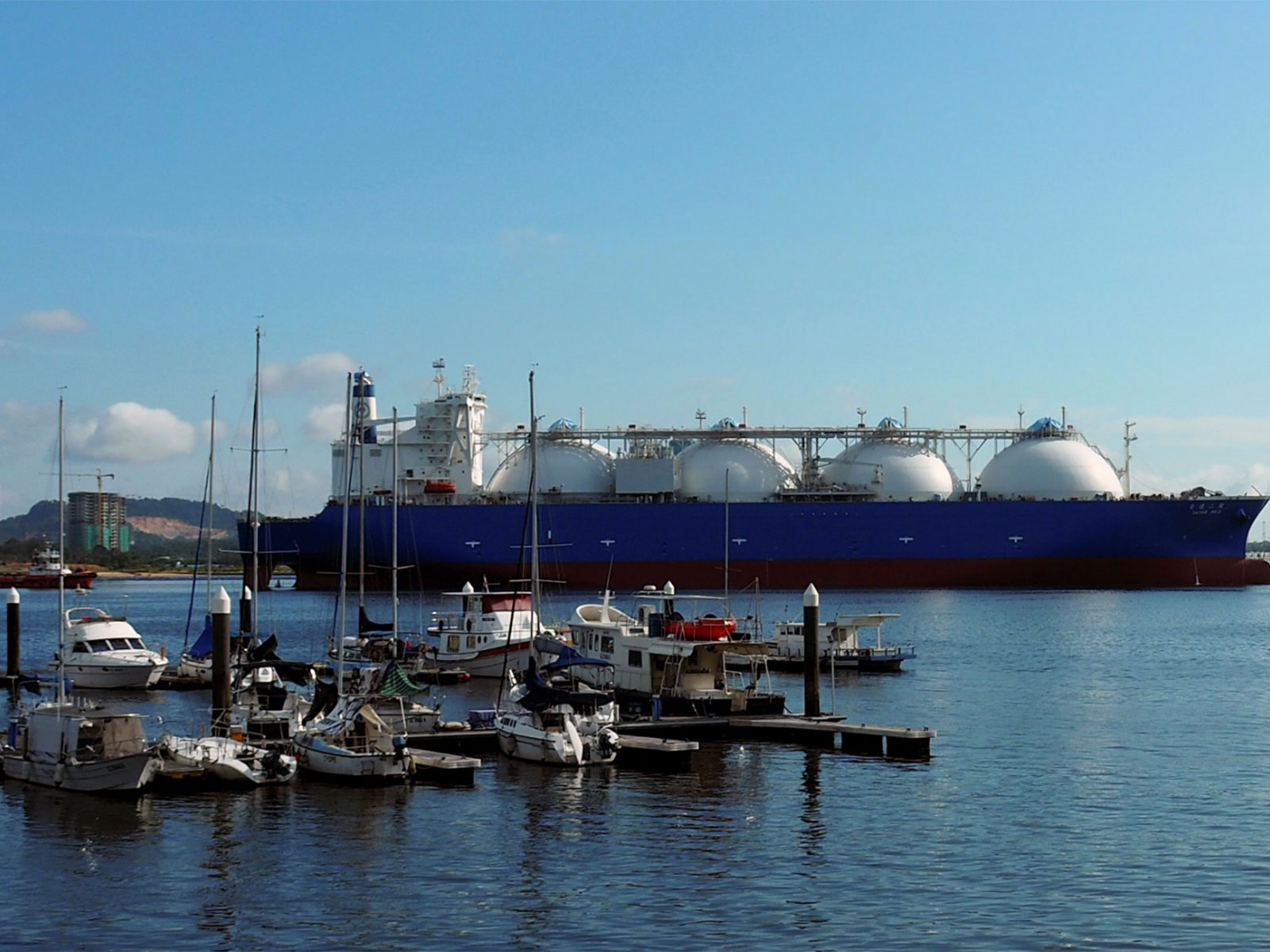 Representative image