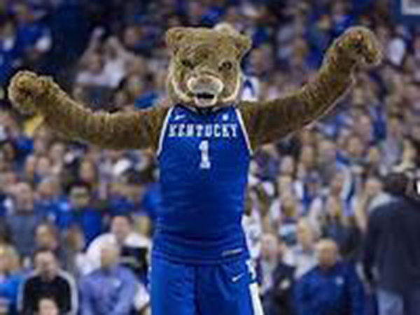 Kentucky Wildcats fire cheerleading coaches after hazing, nudity probe