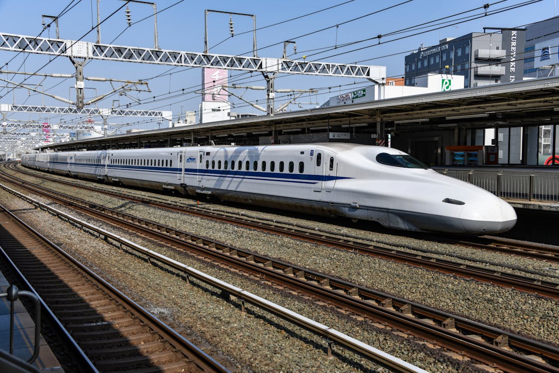 Unbelievable story: Japanese Shinkansen bullet train delayed 17 minutes because of snakes