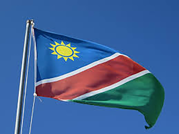 Namibia to host Zimbabwe in women's cricket series next year