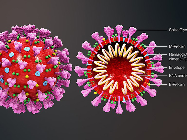 Daily Covid-19 cases in Bangladesh at an all-time high