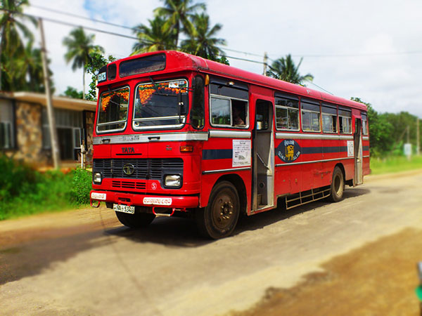 SLTB income increased in the past month, 2,000 more buses to be purchased