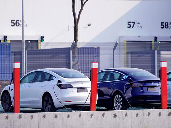 Tesla on autopilot rear-ended Connecticut cop car as driver checked on dog: police