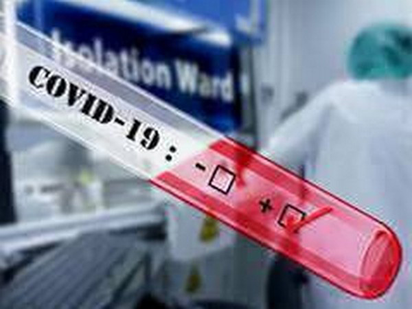 Global coronavirus cases top 5.3 million