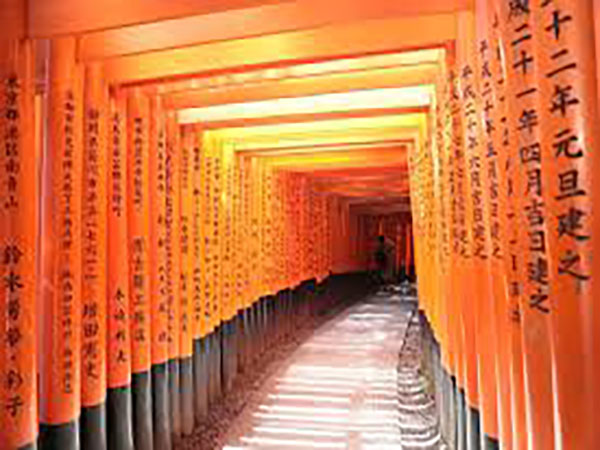 Kyoto shrine, Kokura Castle decorated for New Year
