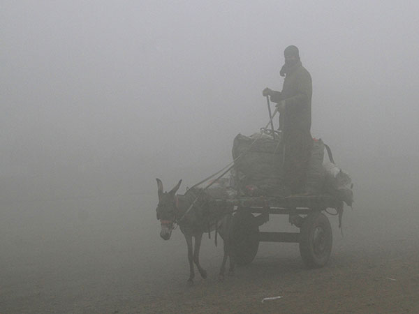 LHC deplores lack of admin response to smog