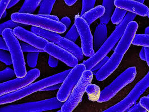 China's Wuhan reports 17 new pneumonia cases
