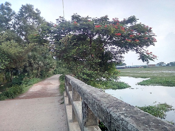 Mother, daughter killed in Gazipur road accident