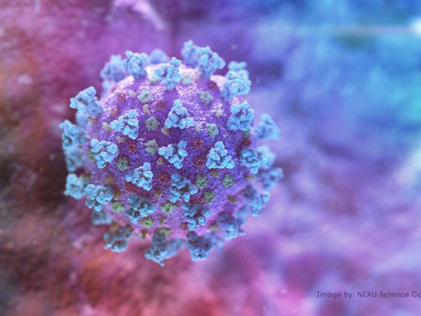 Fraser Health advises local school districts about contacts of latest B.C. coronavirus case
