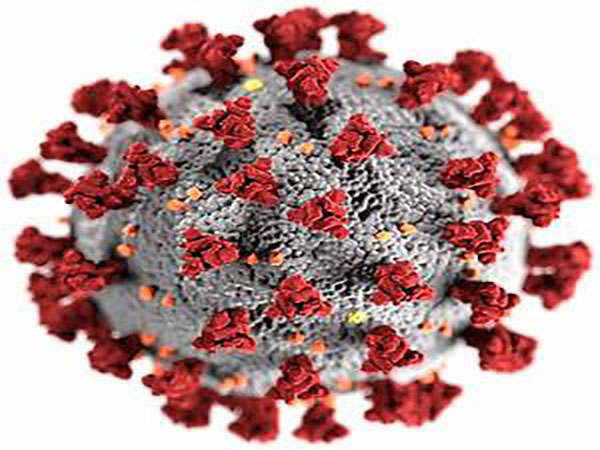 COVID-19 prompts 'hyper-activity' in blood clotting cells, research shows