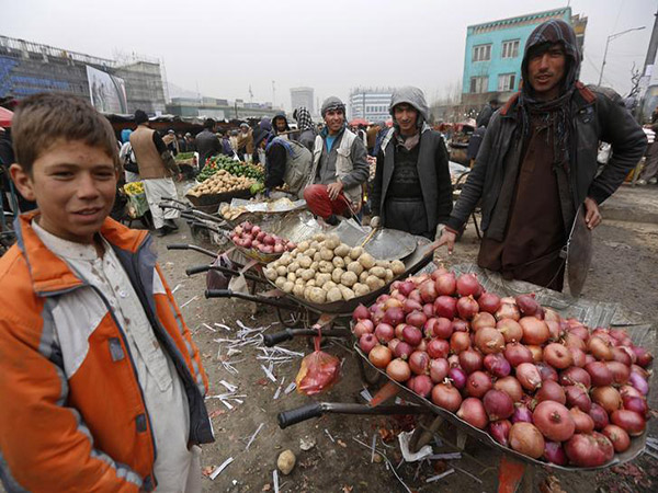 Afghan Farmers Need Markets: Experts