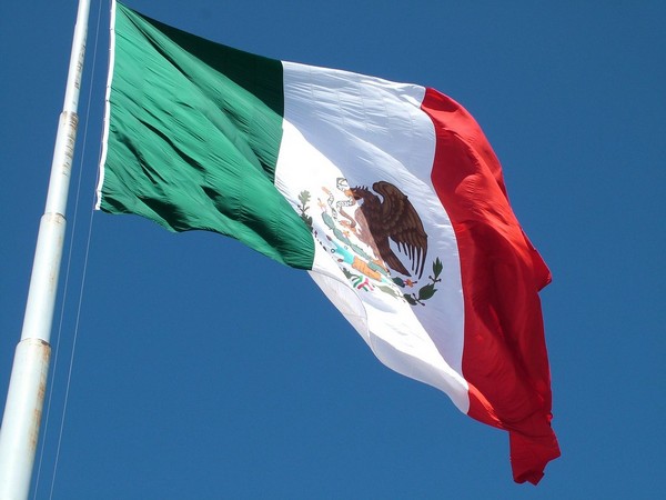 Mexico's exports grow 19.5 pct