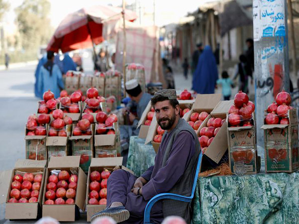 Pakistan Denies Increasing Tariffs on Kandahar Pomegranates