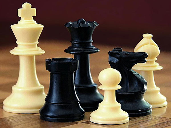 Iran's Firouzja finishes second at Norway chess tournament