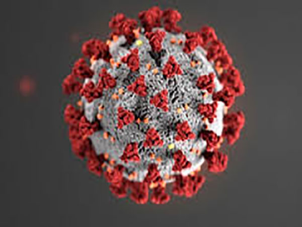 New virus cases over 500 for 2nd day; no letup in sight despite tough virus curbs