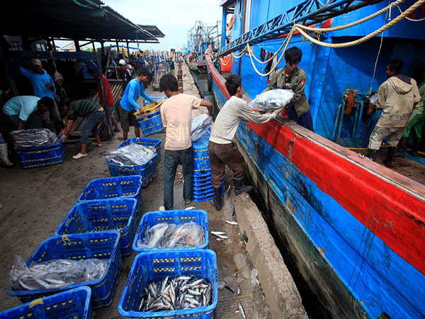 Indonesia sees first online fish auction market open