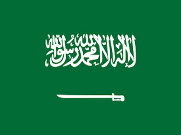 Saudi Arabia to launch national investment strategy next year