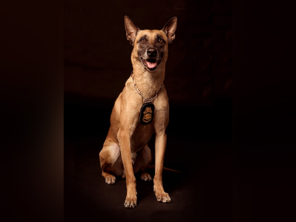 K-9 soldier who helped take down Usama bin Laden featured on Fox Nation's 'Hero Dogs'