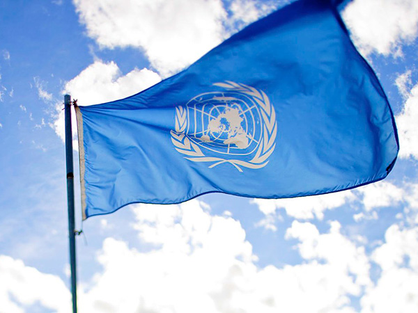 UN official commends China's implementation of Convention on Biological Diversity