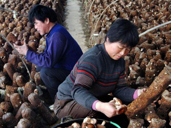 China to further smooth tax exemptions for some imports from U.S.