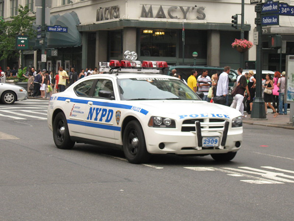 NYC protester turns self in after NYPD standoff: reports