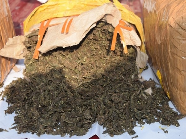 Sri Lanka Navy nabs three persons with over 83 kg of Kerala Cannabis in North