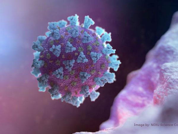 China coronavirus death toll hits 2,592