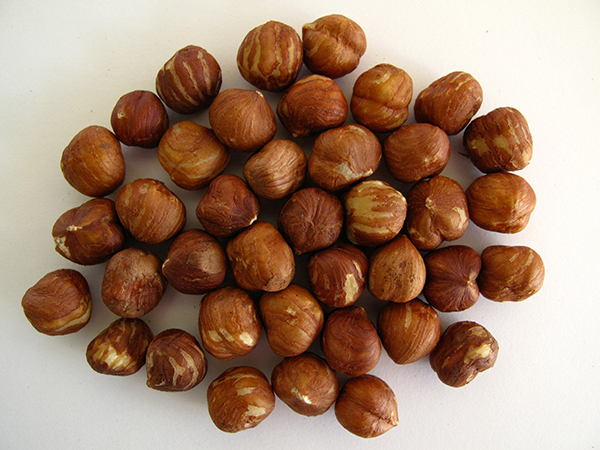 Eating tree nuts every day can improve sperm quality, study finds