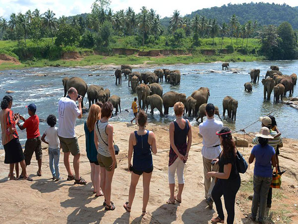 Sri Lanka tourist arrivals drop nearly 28 percent in September 2019