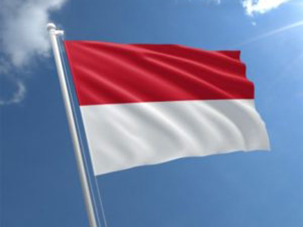 Next PSSI head must fix team after World Cup qualifier losses, says ministry