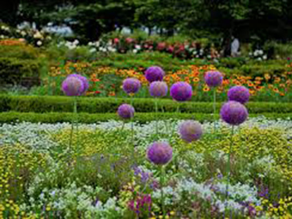 City to boost development of parks to reduce air pollution