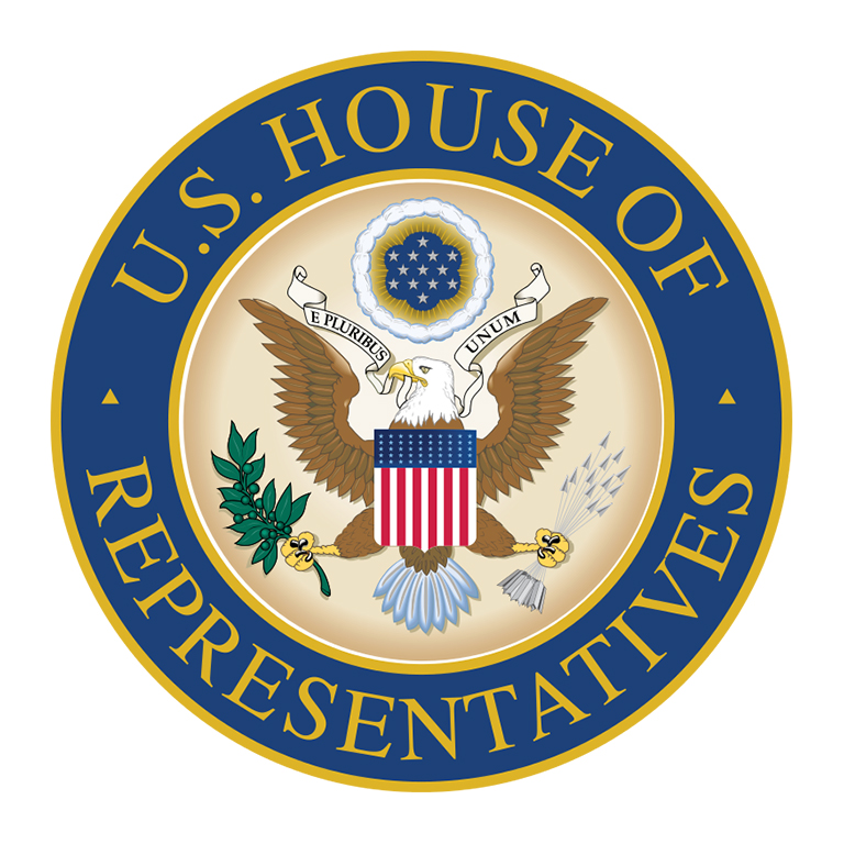 U.S. House passes 3-tln-USD coronavirus relief package amid Republican opposition