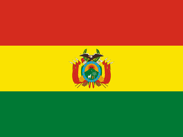 Bolivia's interim gov't declares national emergency over forest fires
