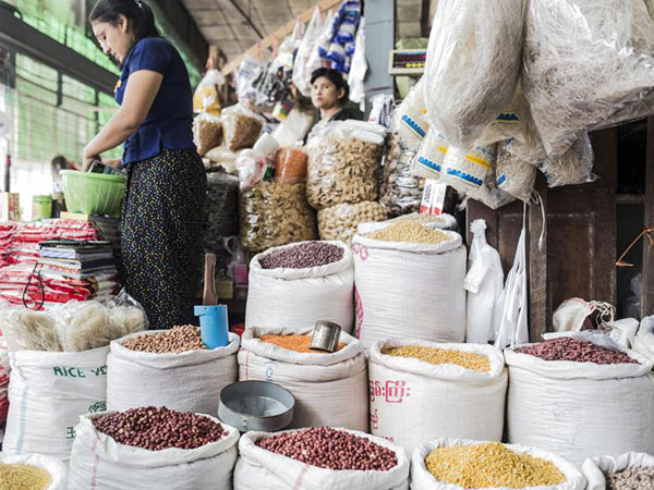 Pulse prices fall as India buys less