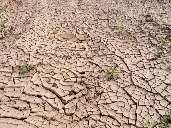 Harvard Humanitarian Initiative supports disaster resilience in Bangladesh
