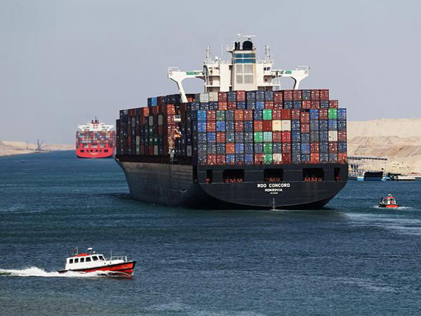 Dutch authorities find 25 migrants in refrigerated container aboard ship