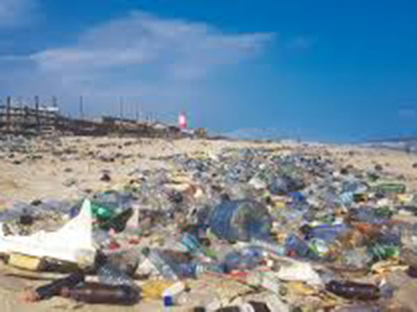 Japanese team to research deep-sea plastic waste