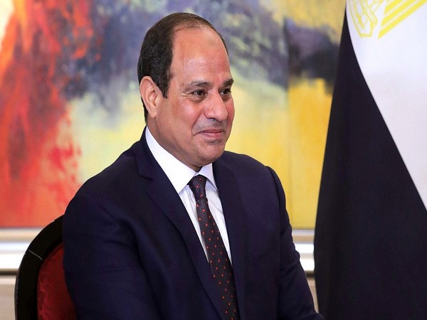 Egyptian president, Saudi Arabian crown prince vow to address security threats