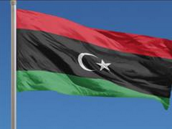 Libya's private sector main driver for economic recovery: IOM
