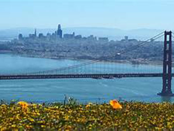 San Francisco gives drugs, alcohol to homeless addicts in hotels during coronavirus, sparking debate